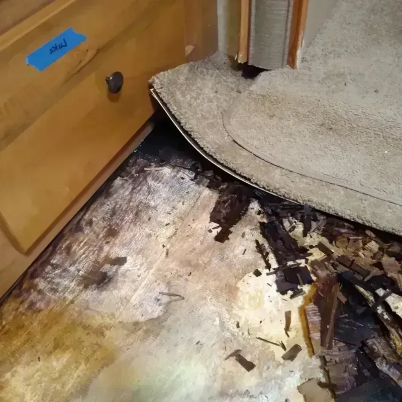 Wood Floor Water Damage in Elwood, KS